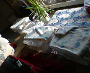 ���C�|���`���E