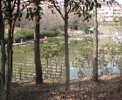 ȅ