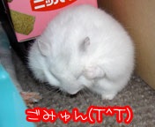 [ց`̂Q