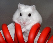 �����邱�A�U����