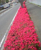 ���̎���