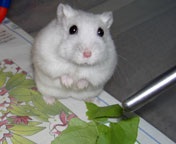 ���肪�Ɓ`�����邱��