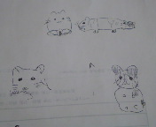 �܂�����