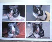 ���[����