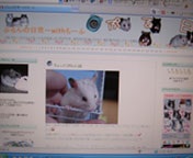 �u���O�ړ]���