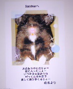 炱