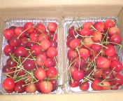 �k�̍�����`�`�`�I