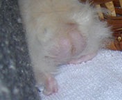 �����`����(��)