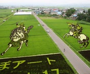 �c��ڃA�[�g