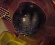 ����ȂƂ���(��)