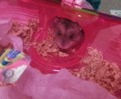 ���t�g��