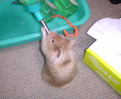 �������܁�