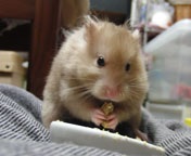 �Â₩���E�E�E