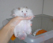 �L�тĂ���