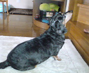 �V������������