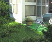 �����́E�E�E