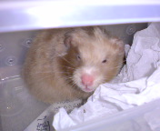 �����Ă��Ȃ��I