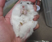 �������ꏏ��