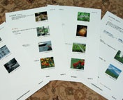 ���Ƃ����J�e�S��