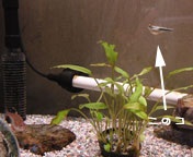 ���Ȃ����E�E�E