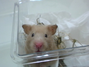 �����R��